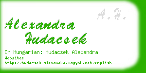 alexandra hudacsek business card